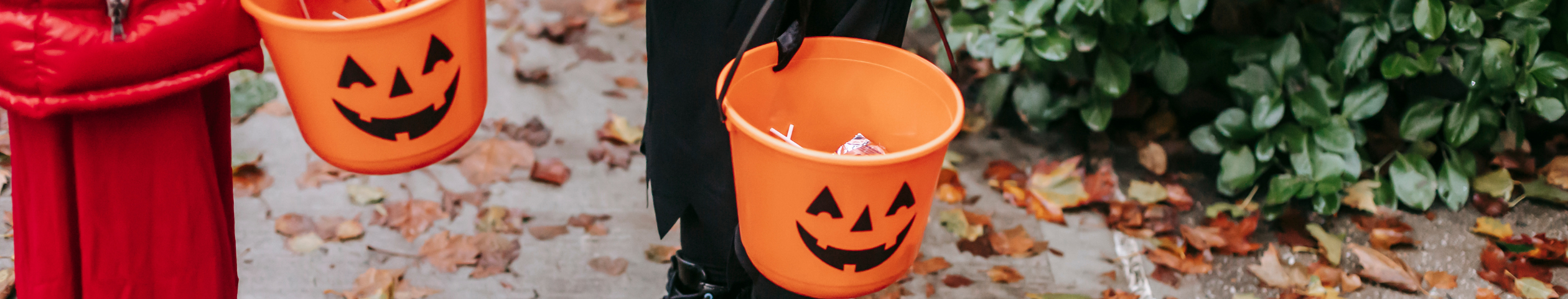 Website Article Hero Image (2520 x 480) (2).png